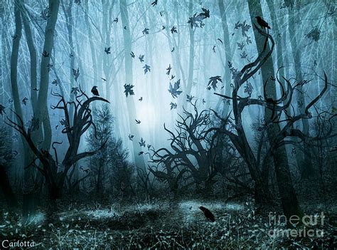 Haunted Forest Digital Art by Carlotta Ceawlin