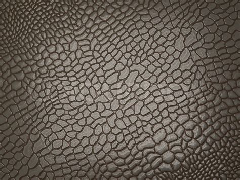 Alligator skin: useful as texture or ... | Stock image | Colourbox