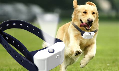 Do Anti Barking Collars Really Work? - No-bark Dog Collar - UPLARN