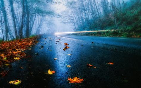 USA road, autumn, rain, fog, foliage, forest HD wallpaper | Pxfuel