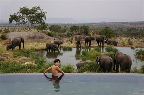 Serengeti Lodge | Tanzania Safaris