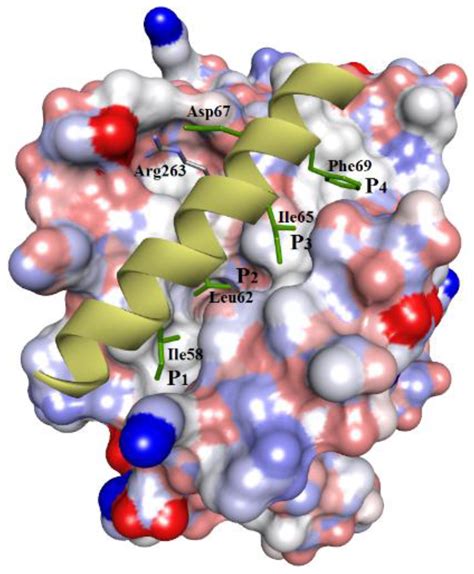 Protein–Calixarene Complexation: From Recognition To, 59% OFF