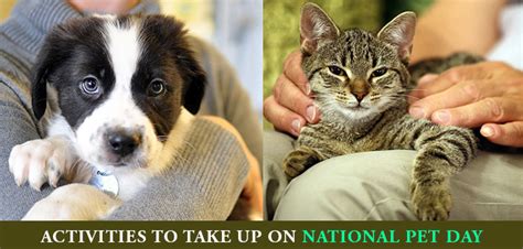 Activities To Take Up On National Pet Day