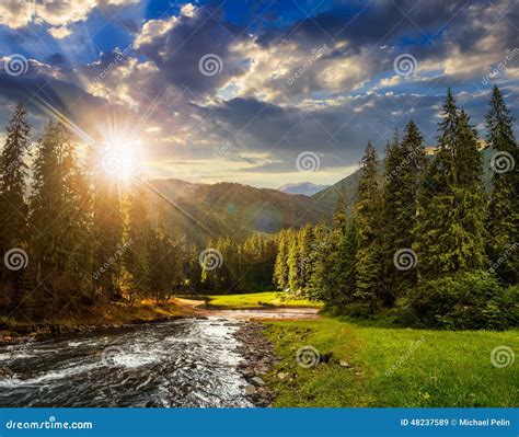 Mountain River in Pine Forest at Sunset Stock Image - Image of outdoor ...