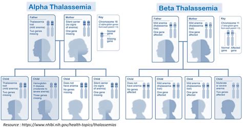 Thalassemia Carrier Testing - GGA Malaysia