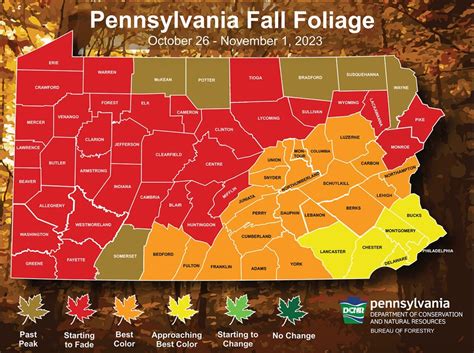 Is this week your best chance to see central Pa. fall foliage? Here’s ...