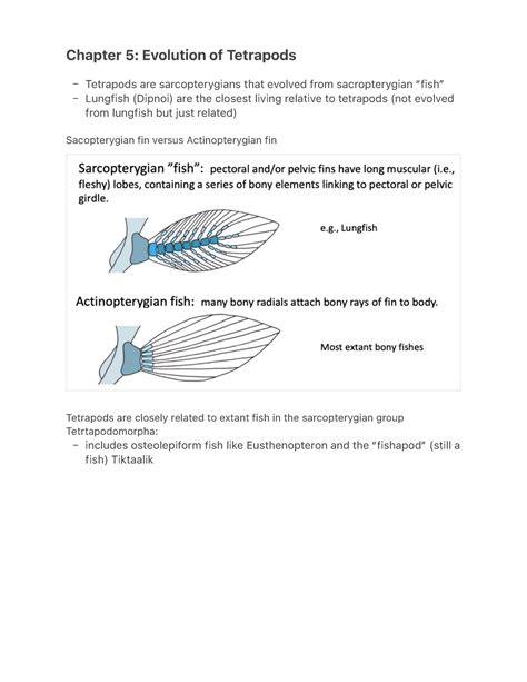 Chapter 5- Evolution of Tetrapods - Chapter 5: Evolution of Tetrapods Tetrapods are ...