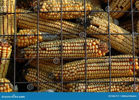 Dry Corn Storage stock image. Image of small, building - 946757