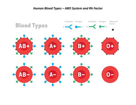 Blood Work Chart With Meanings