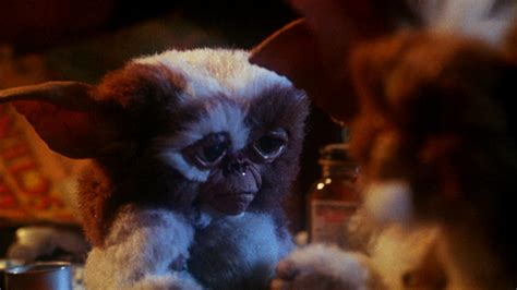 🔥 [73+] Gremlins Gizmo Wallpapers | WallpaperSafari