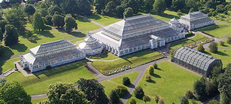 Royal Botanic Gardens Kew - Buffini Chao Foundation