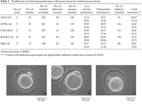 Morphology of sperm in the perivitelline space. (a, b) Monospermic... | Download Scientific Diagram