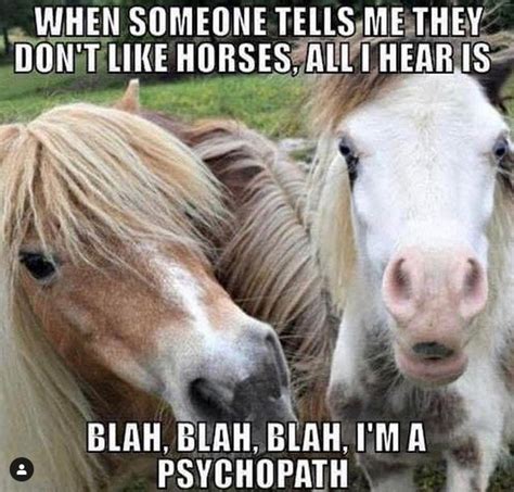 14 Funny Horse Memes That Will Make You Smile! | PetPress