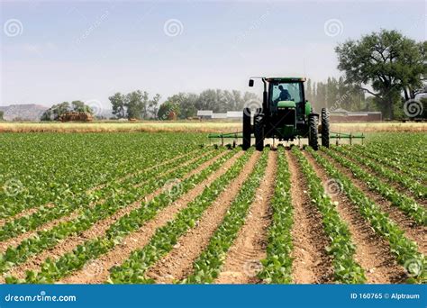 Tractor Plowing The Field Royalty-Free Stock Image | CartoonDealer.com #39081088