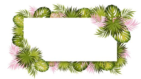 Palm Leaf Border White Transparent, Palm Pink Leaf Border, Frame, Decoration, Palm Leaves PNG ...