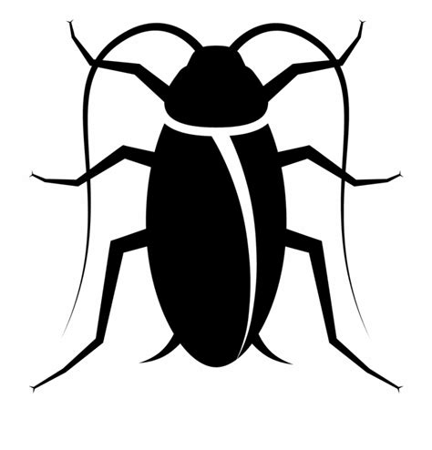 Clipart Images Cockroach Black And White - Clip Art Library