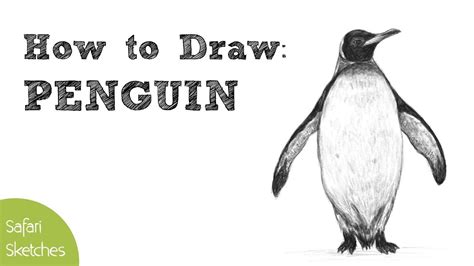 Realistic Easy Penguin Drawing - diana-and-nathan