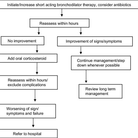 Mechanism of action and pharmacokinetic of bronchodilators and steroid ...