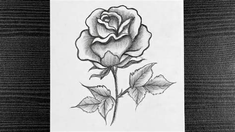 How To Draw A Rose With Pencil Shading