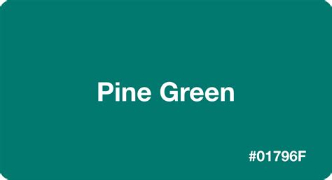 Pine Green: Best Practices, Color Codes & More!