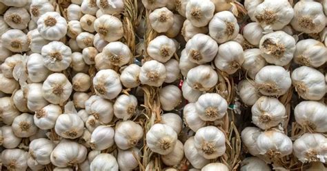 How to Dry Garlic: A Complete Guide To Store It Safely - Kitchenous