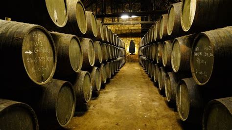 Guide to Port Wine Cellars in Porto - Nomads Travel Guide