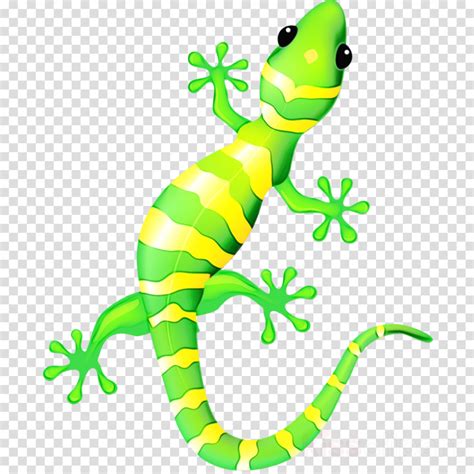 Lizard Clipart Transparent Background Lizards Transparent Background | Images and Photos finder