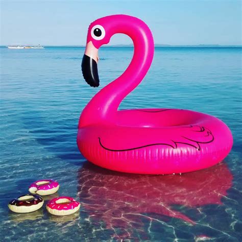 Giant Pink Flamingo Pool Float | Flamingo pool float, Pink flamingo pool, Flamingo pool