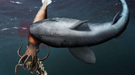 A squid eating a lobster got eaten by a shark, and it was fossilized in action | SYFY WIRE