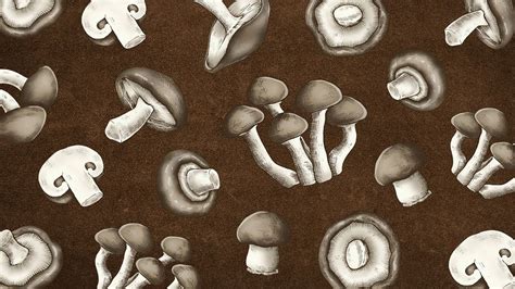 Brown desktop wallpaper mushroom pattern | Free Photo - rawpixel