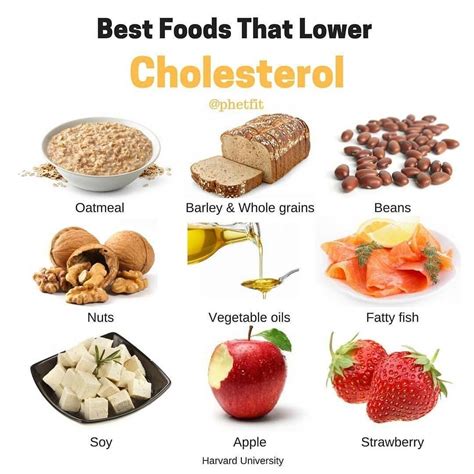 Foods That Lower Cholesterol | Hot Sex Picture