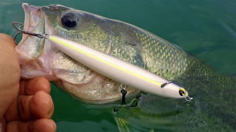 Best Smallmouth Bass Lures - TackleXpert