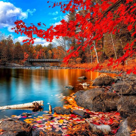 Nature Autumn Red Leaf Calm Lake Landscape iPad Air Wallpapers Free Download