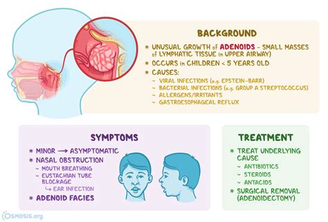 Adenoid Hypertophy: What Is It, Causes, Symptoms, Diagnosis, Treatment ...