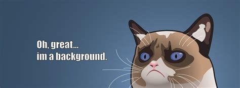 Grumpy Cat Oh Great I am a Background Facebook cover | Background facebook cover, Funny facebook ...