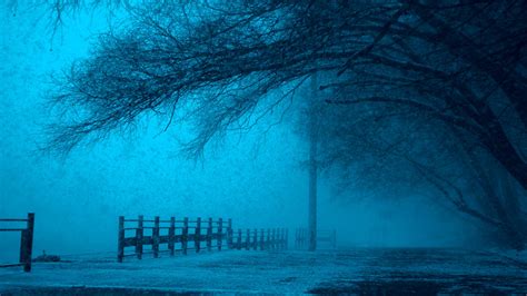 Download Nature Fog HD Wallpaper