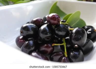 136 Jamblang Fruit Images, Stock Photos & Vectors | Shutterstock