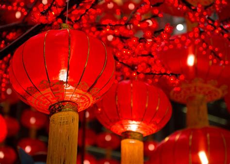 Usher in good luck with Chinese New Year decorations | Honeycombers