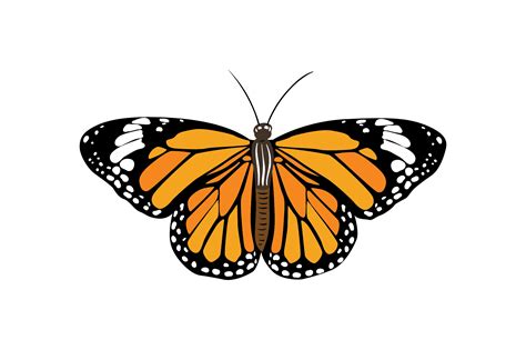 Cricut Silhouette Butterfly Free Butterfly Svg | Free SVG Cut Files. Create your DIY projects ...