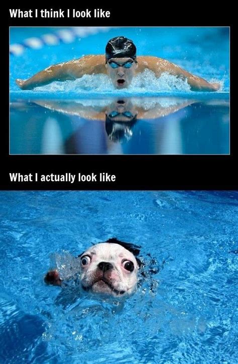 What You Think You Look Like Vs. What You Actually Look Like | Funny pictures, Funny animals ...