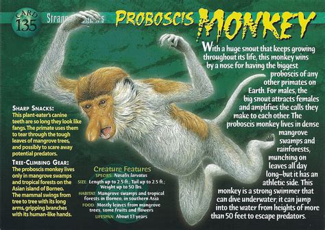 Proboscis Monkey - Wierd N'wild Creatures Wiki