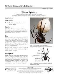 Assessing Black Widow Spiders' Habitat Use via Habitat Suitability Index