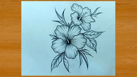 Flower Pencil Drawing Artists | Best Flower Site