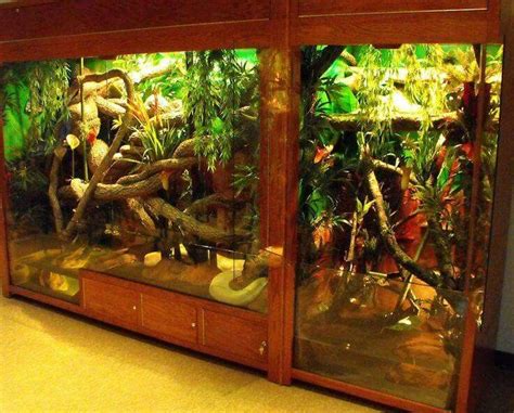 Reptile Enclosure | Reptile enclosure, Reptile cage, Snake enclosure