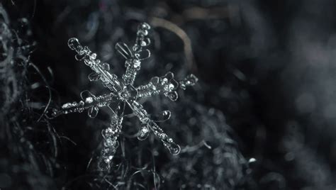 5 Helpful Tips to Improve Your Snowflake Macro Photography – Seriously Photography