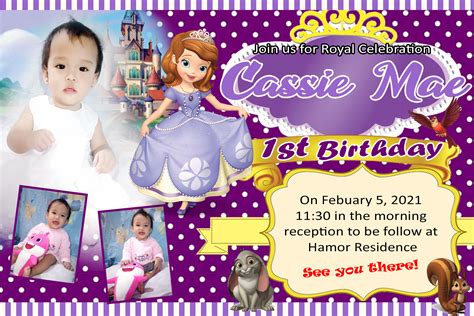 SOFIA THE FIRST BIRTHDAY THEMES