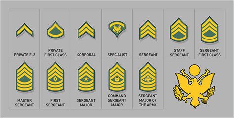 Army Enlisted Rank Insignia