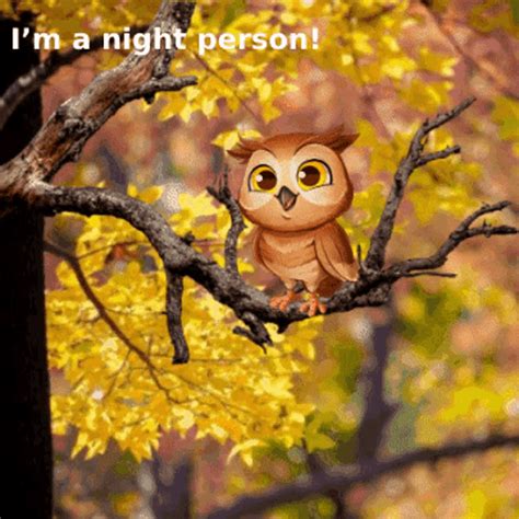 Owl Memes Cute Owls GIF - Owl Memes Cute Owls Animated Owls - Discover & Share GIFs