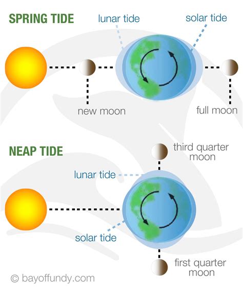 Today’s “King Tides” Preview the Future of Sea Level Rise - Union of ...