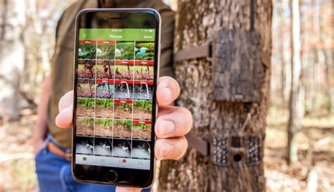 Best Cellular Trail Camera: Top Picks and Buying Guide by Expert